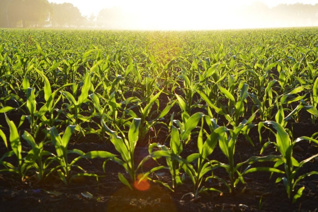 Farmparts Nakuru: Your One Stop Shop for Agricultural Solutions farmparts nakuru